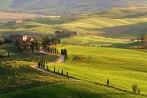 德甲联赛英文版,探索欧洲顶级足球联赛的魅力德甲联赛英文版